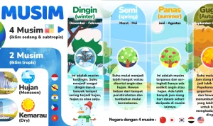 Musim Hujan di Tengah Kemarau: Apa yang Terjadi di Indonesia?