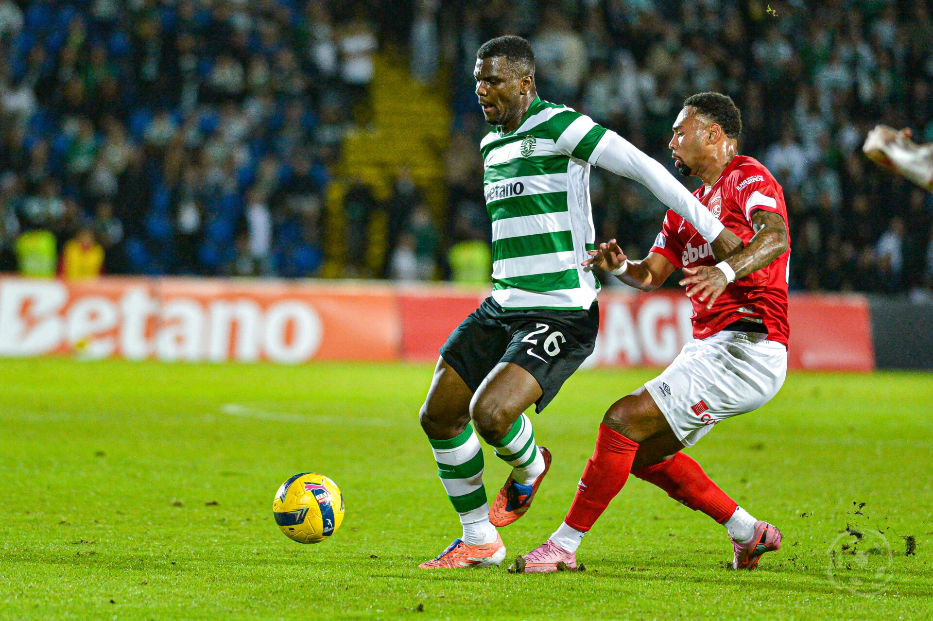 Nottingham Forest Siap Menggaet Ousmane Diomande dari Sporting CP