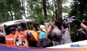 Pembunuhan dan Kasus Kriminal: Dari Dugaan Jenazah dalam Koper hingga Pembunuhan di Berbagai Belahan Dunia