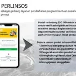 Pemerintah Genjot Sosialisasi Perlinsos Digital untuk Masyarakat
