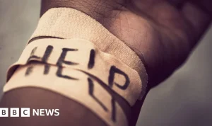 Perez Hilton Mengalami Keterpurukan setelah Livestream Self-Harm di TikTok