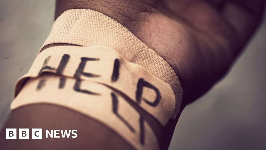 Perez Hilton Mengalami Keterpurukan setelah Livestream Self-Harm di TikTok