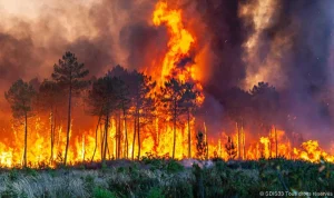 Prancis Menghadapi Tantangan Berat: Kebakaran Hutan dan Pemberontakan Migran