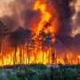 Prancis Menghadapi Tantangan Berat: Kebakaran Hutan dan Pemberontakan Migran