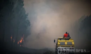 Prancis Menghadapi Tantangan: Dari Kebakaran Hutan Hingga Pemberontakan Migran