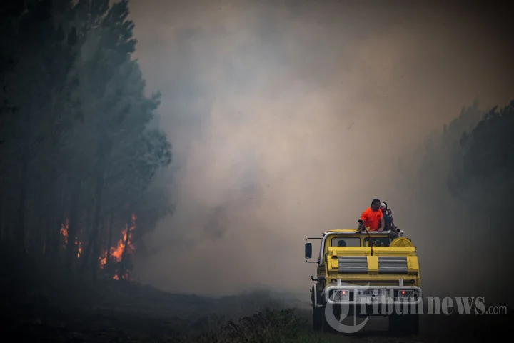 Prancis Menghadapi Tantangan: Dari Kebakaran Hutan Hingga Pemberontakan Migran