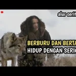 Serigala, Alpha Male, dan Pertempuran Tumbleton: Mengungkap Fakta Menarik