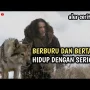 Serigala, Alpha Male, dan Pertempuran Tumbleton: Mengungkap Fakta Menarik