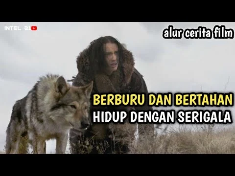 Serigala, Alpha Male, dan Pertempuran Tumbleton: Mengungkap Fakta Menarik