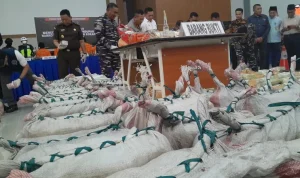 TNI AL Perketat Pengawasan di Perairan Kepri, Musnahkan 1,3 Ton Narkotika