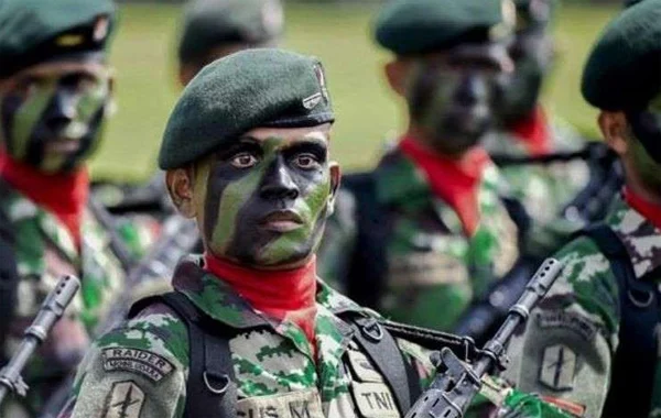 Tunjangan Kinerja TNI Naik, Pemerintah Berharap Meningkatkan Profesionalisme