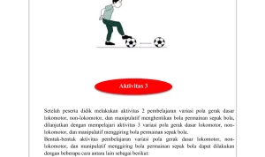 UCL: Antara Kesehatan dan Sepak Bola, Mencari Keseimbangan dalam Hidup